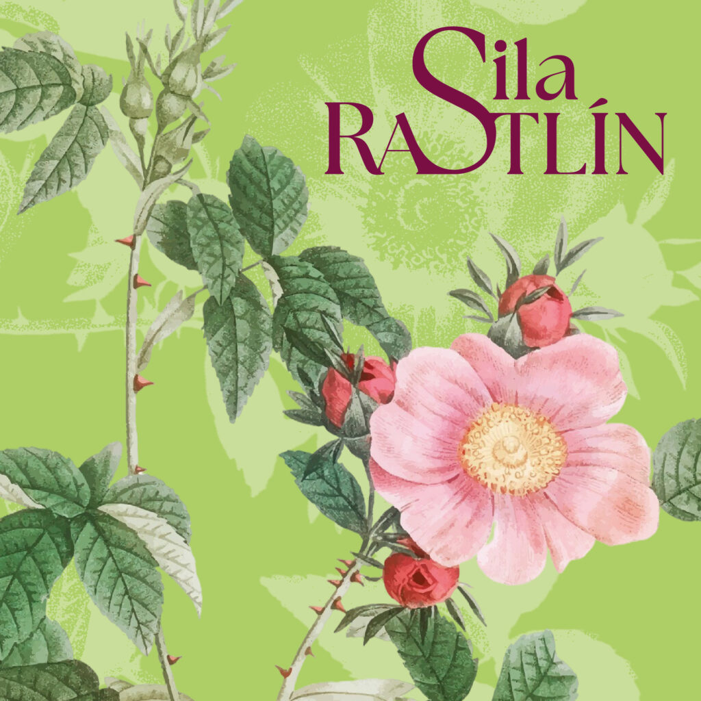 Sila rastlín